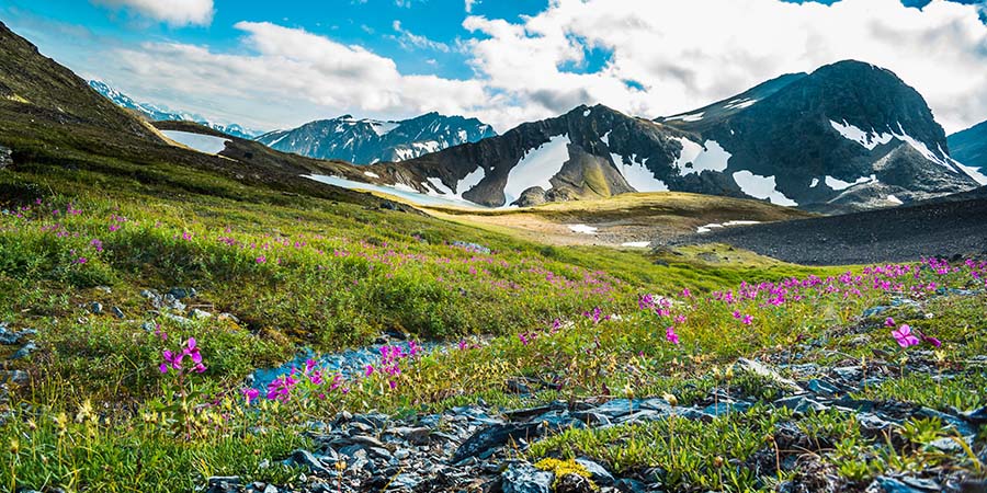 Alaskan Mountain Peaks