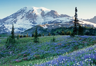 Mount Rainier