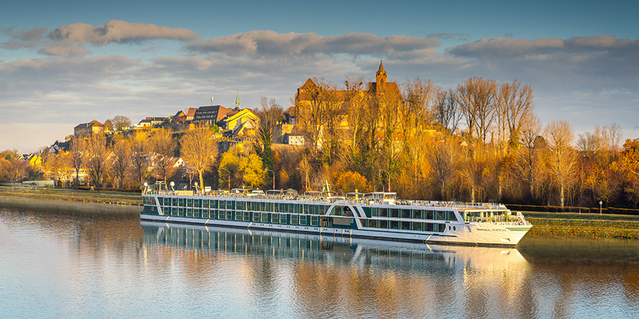 AMADEUS Silver III In Breisach Am Rhein In The Morning Light Of Autumn