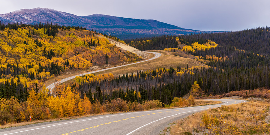 Alaska Highway In Fall Season