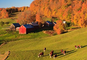 Top Escorted Fall Tours