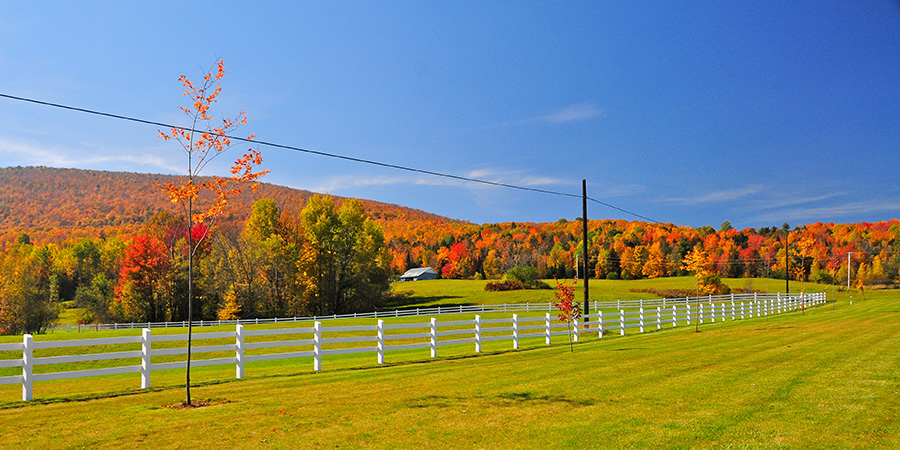 Vermont Foliage