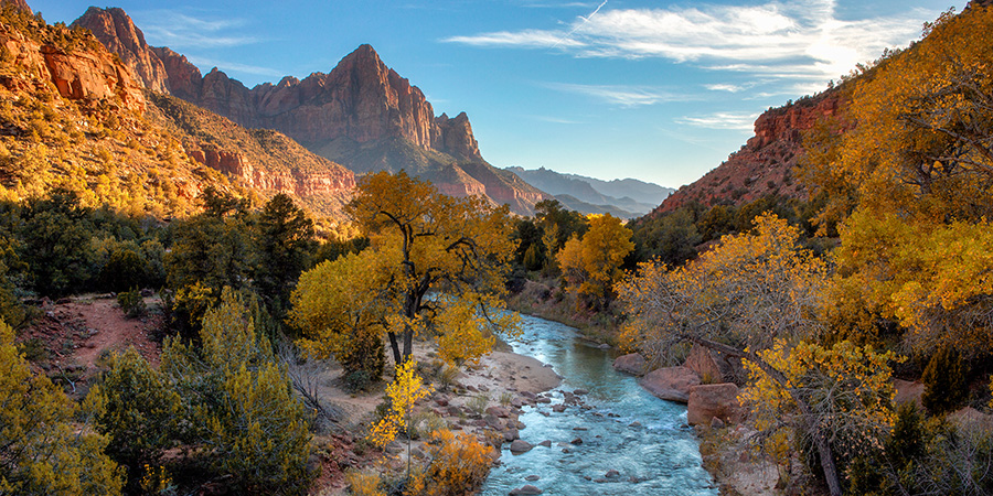 the virgin river in Zion National Park