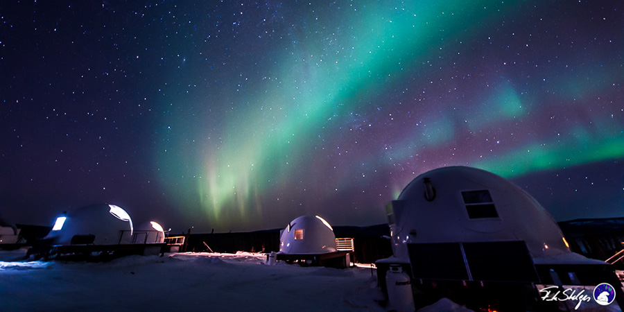 Northern Lights At Borealis Basecamp