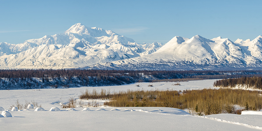 Denali National Park Winter