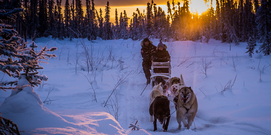 Dog sledding BBC170111 3