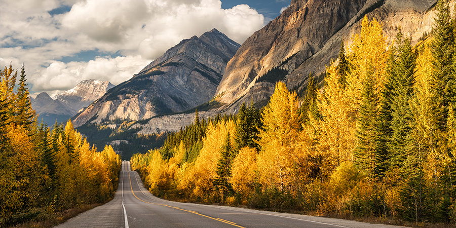 Icefields Parkway Banff National Park