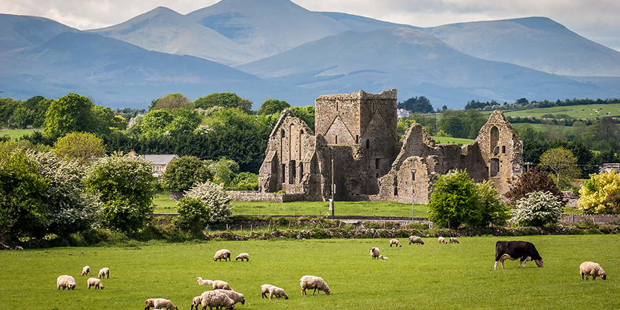 Idyllic Irish Landscape