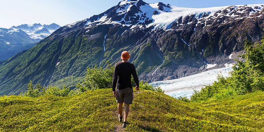 Hiker In Exit Glacier Kenai Fjords National Park