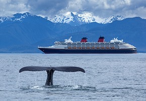 Five Convincing Reasons You Should Join an Alaska Cruise