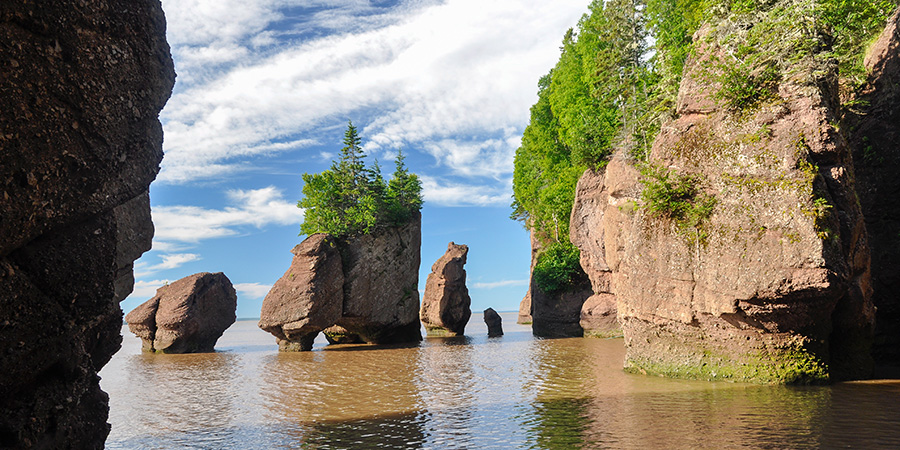 Hopewell Rocks At High Tide