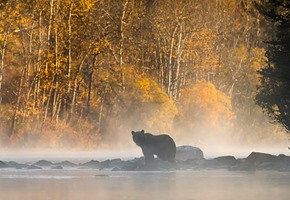 Canada’s Nature and Wildlife Hotspots from Coast to Coast