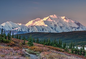 Six Reasons a Land Tour is the Best Way to See Alaska