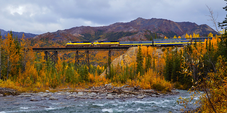 Denali Star Train Roger Bath