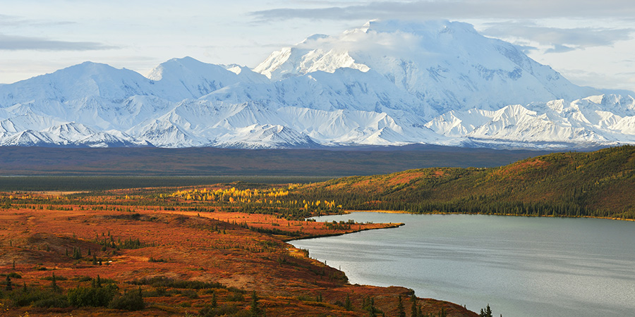 Denali Mountain And Wonder Lake