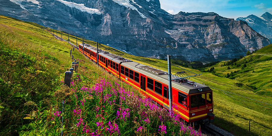 Cogwheel Railway