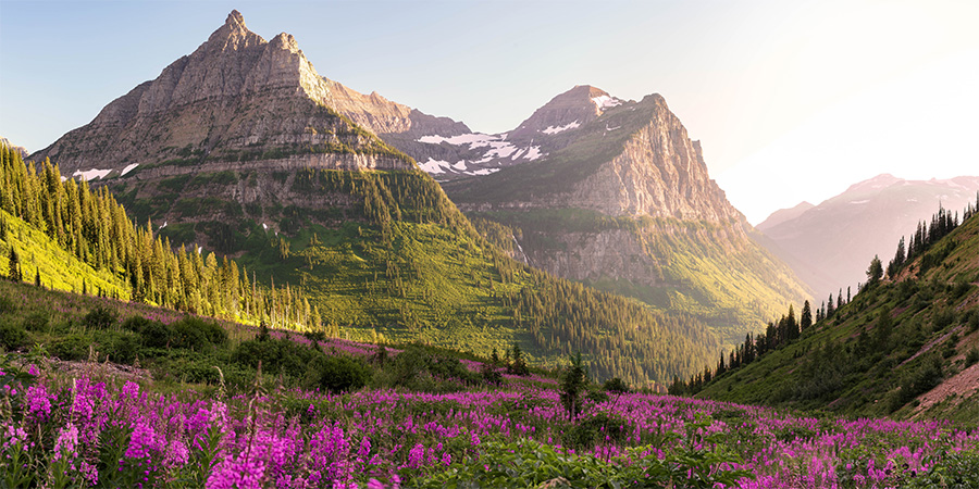 Glacier National Park Summer Glacier National Park Summer