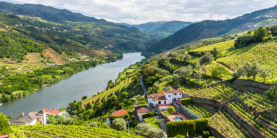 Douro River Region in Portugal