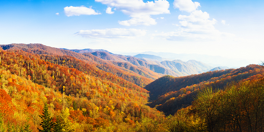 Great Smoky Mountains National Park