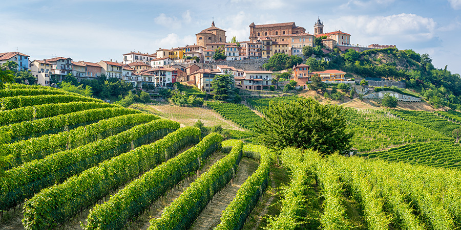 La Morra And Its Vineyards