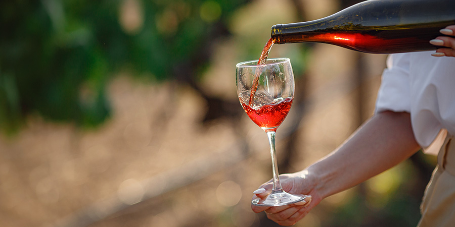 Tasting Wine In A Vineyard