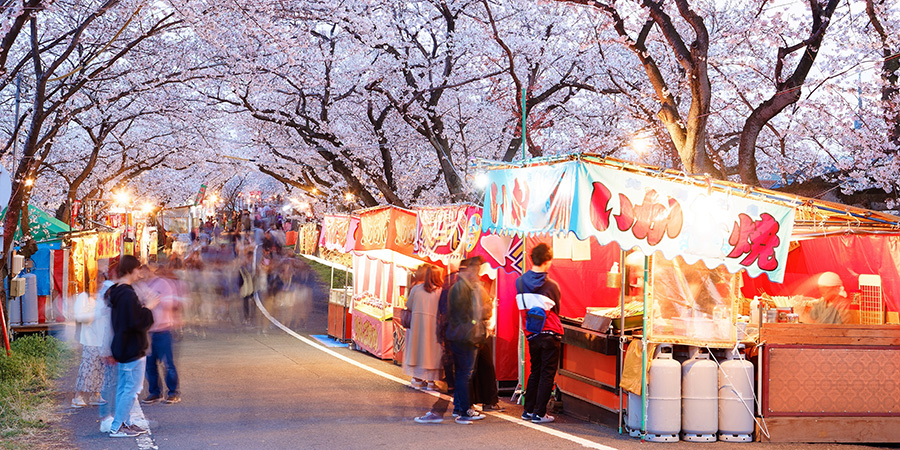 Snack Stalls Under Cherry Blossom Trees