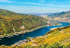 Rhine Gorge