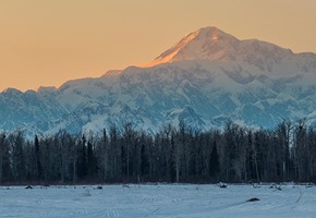 Aurora Train