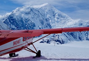 Aurora Train
