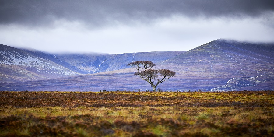 Enjoying a tasting of award-winning gins