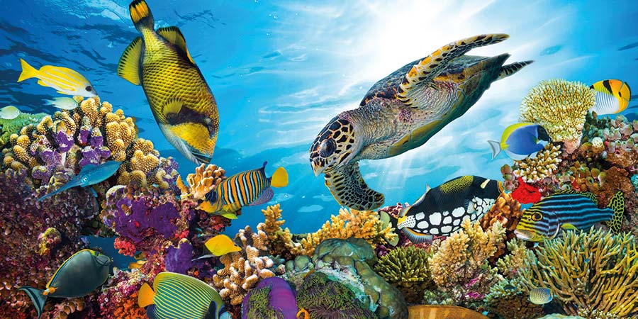 Great Barrier Reef