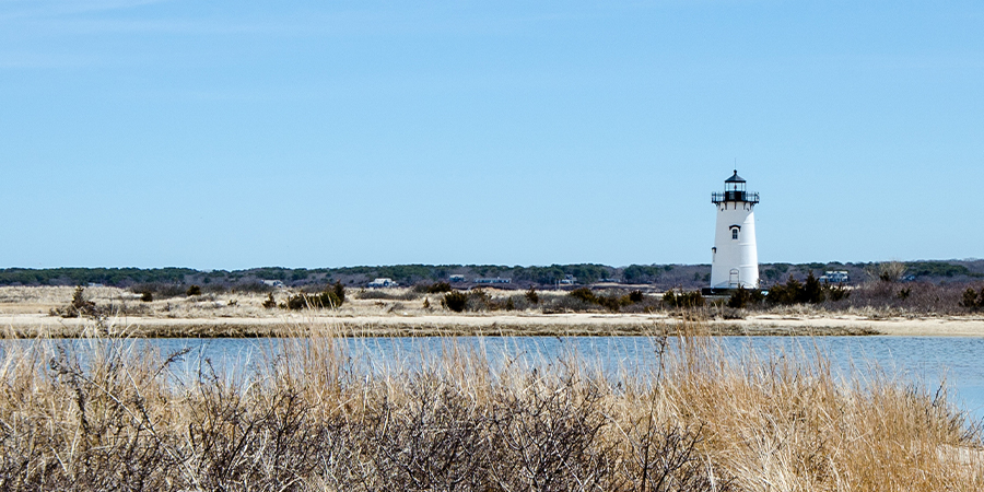 Spend a day in Martha's Vineyard