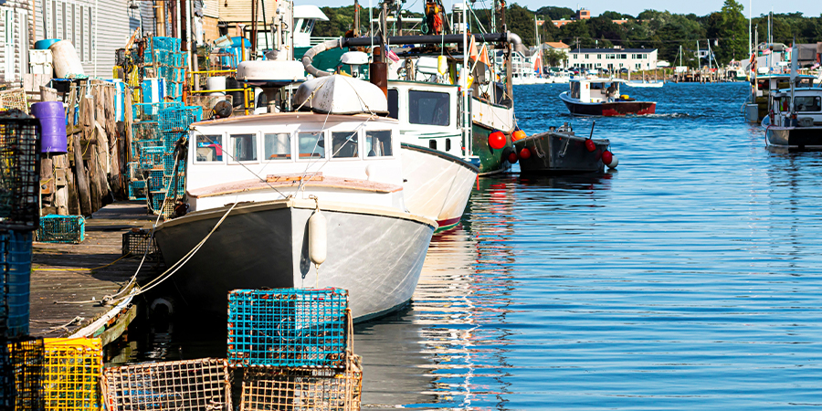 Get a seaside perspective on Maine’s lobster industry