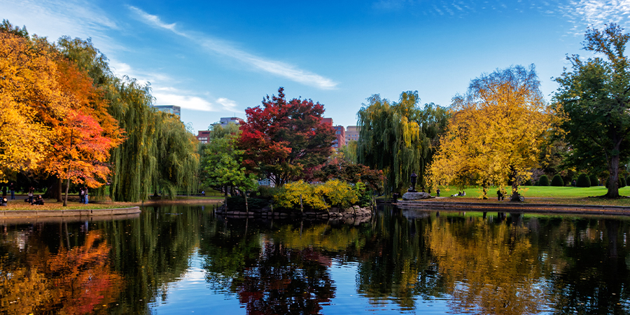 Uncover Boston's Historic Sites