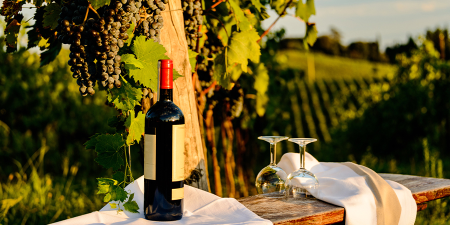 Savor Chianti’s flavors and breathtaking scenery
