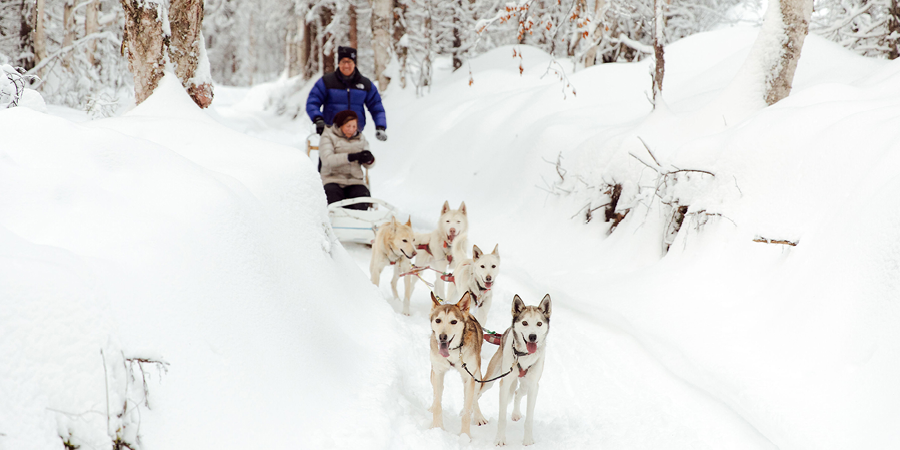 Aurora Winter Train