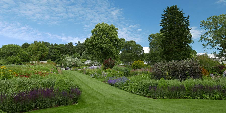 Walk through the inspiring RHS Harlow Carr Gardens
