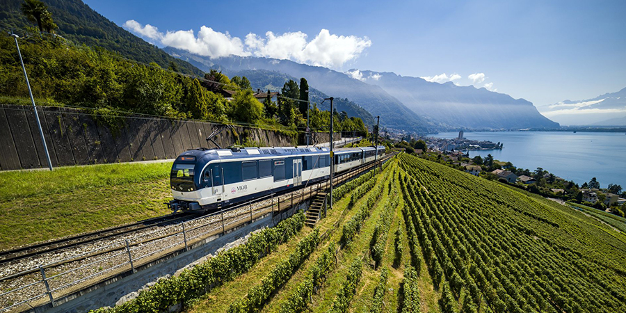 Absorb panoramic scenes on the GoldenPass Express