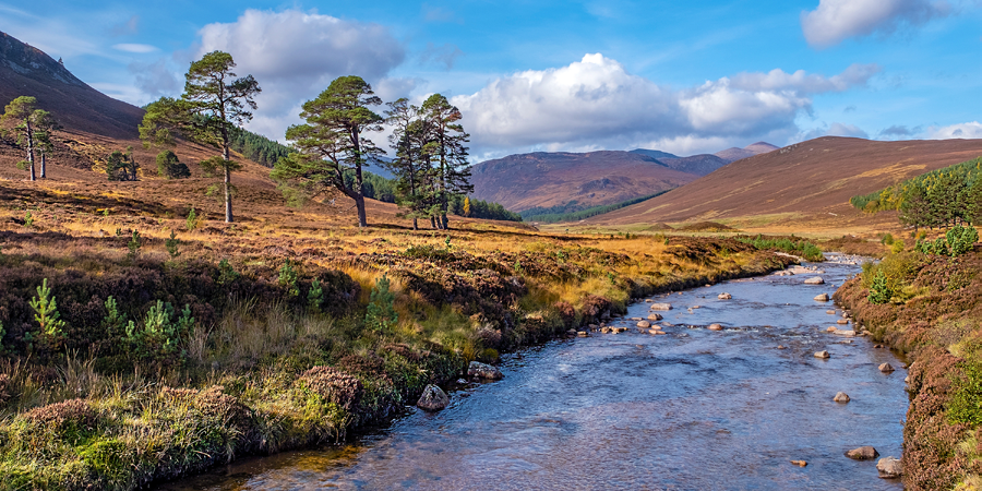 Visit the grand Rothiemurchus Estate