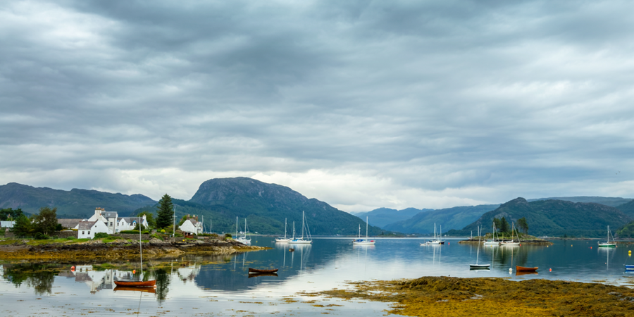 Embark on a seal-watching boat trip