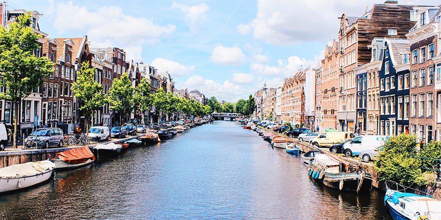 Embark on a sightseeing tour of Amsterdam