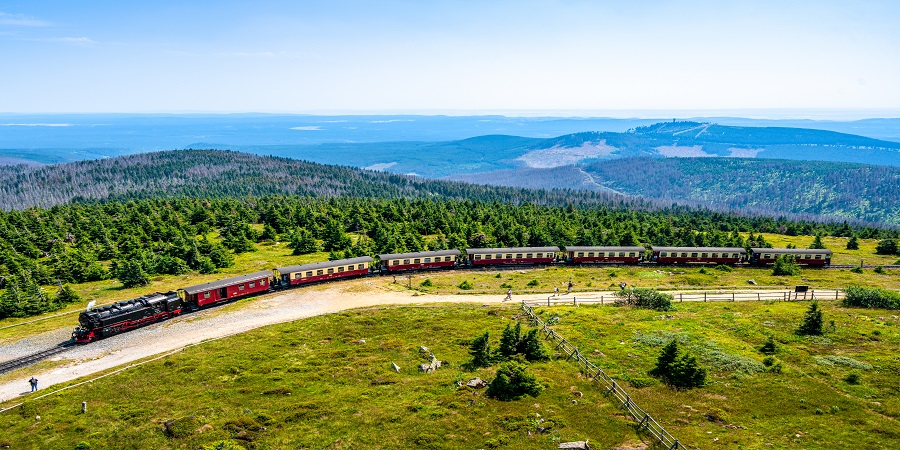 Trains of the Harz Mountains & Rhine Gorge