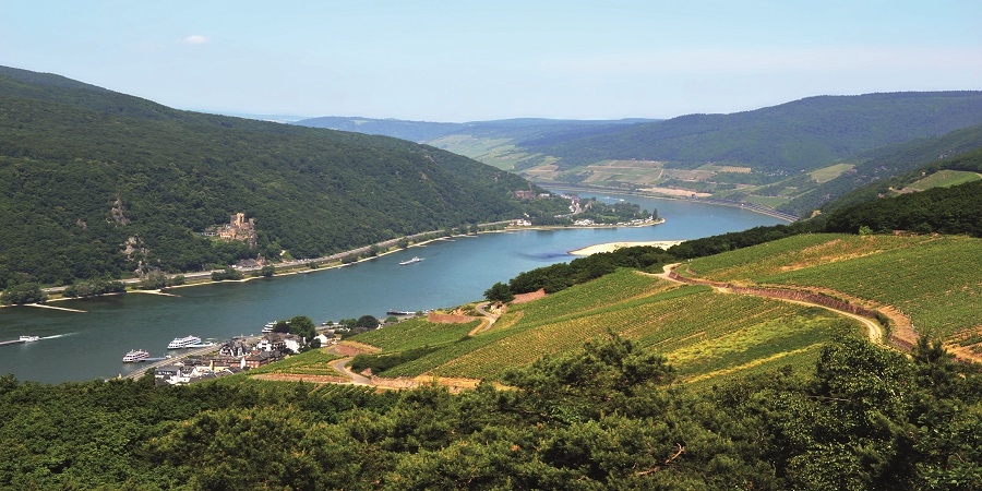Cruise through the magnificent Rhine Gorge on a riverboat