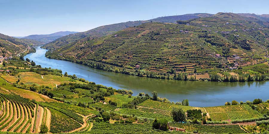 Delight in the flavors of Portugal at Quinta da Casa Amarela