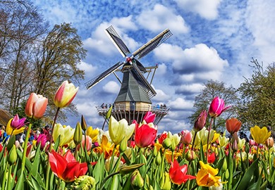 Keukenof Gardens