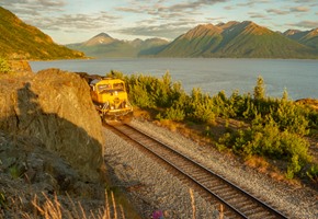 Boston autumn foliage