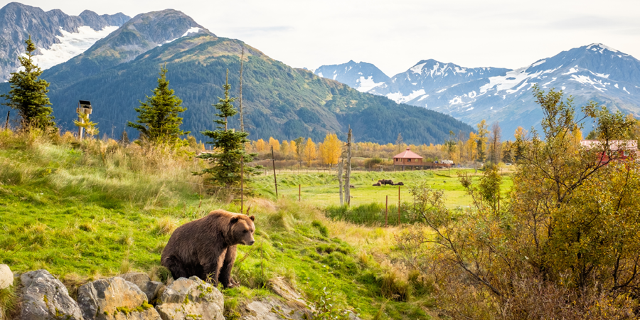Alaska Wildlife Conservation Center
