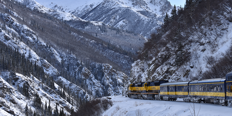 Aurora Train