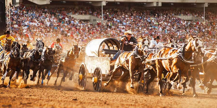 Chuckwagon Racing