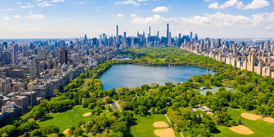 Explore New York with a local expert